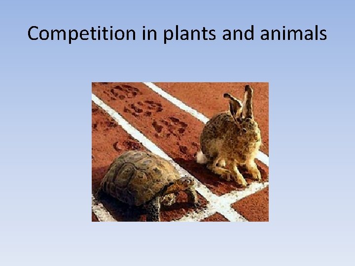 Competition in plants and animals 