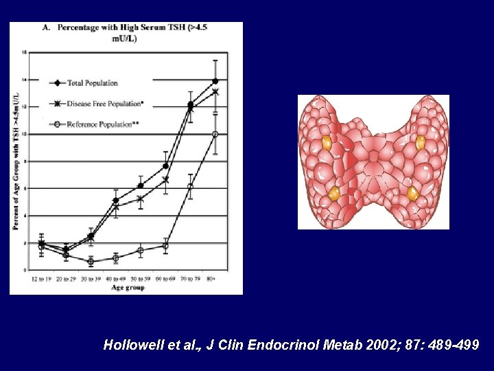 Hollowell et al. , J Clin Endocrinol Metab 2002; 87: 489 -499 