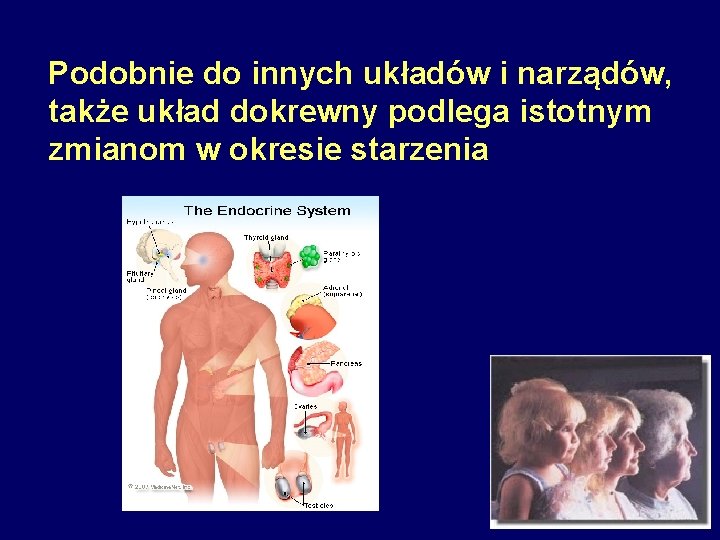 Podobnie do innych układów i narządów, także układ dokrewny podlega istotnym zmianom w okresie