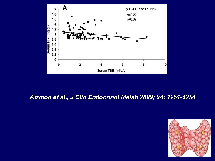 Atzmon et al. , J Clin Endocrinol Metab 2009; 94: 1251 -1254 