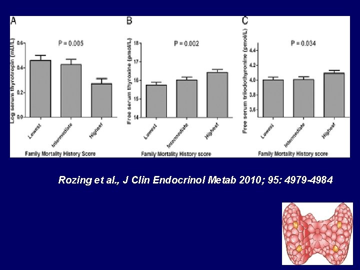 Rozing et al. , J Clin Endocrinol Metab 2010; 95: 4979 -4984 