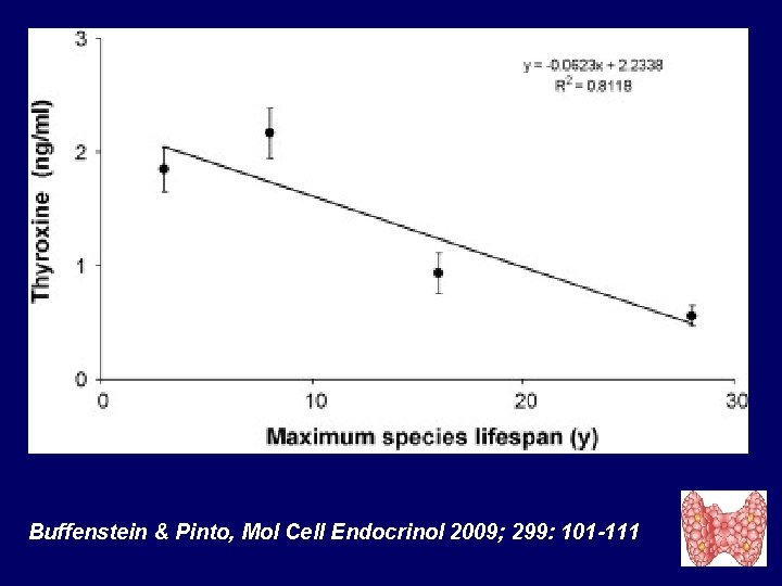 Buffenstein & Pinto, Mol Cell Endocrinol 2009; 299: 101 -111 