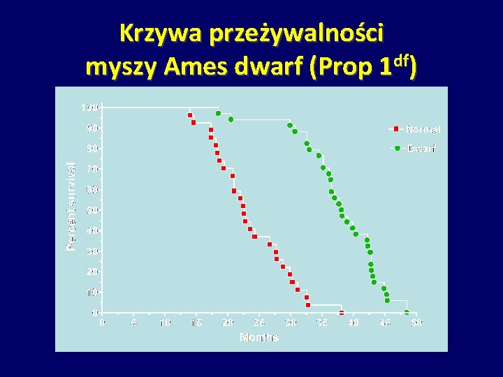 Krzywa przeżywalności myszy Ames dwarf (Prop 1 df) 
