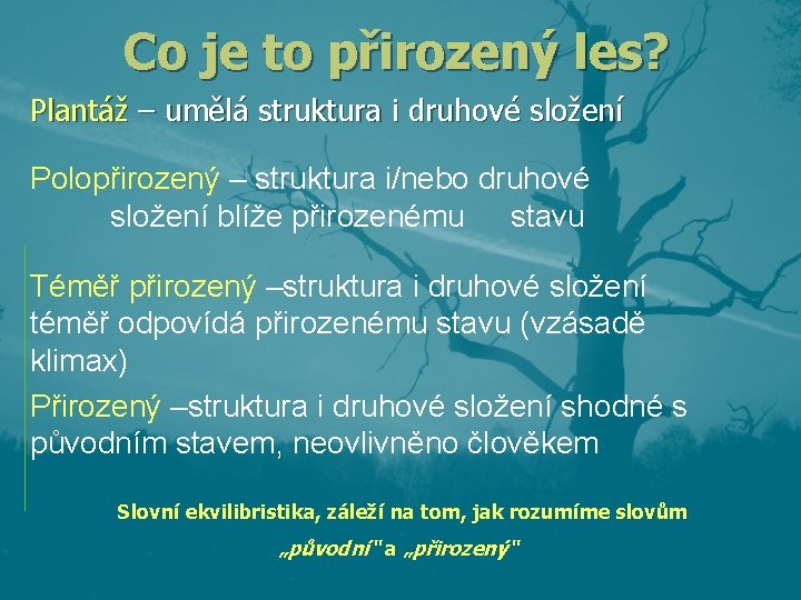 Co je to přirozený les? Plantáž – umělá struktura i druhové složení Polopřirozený –