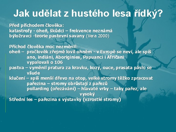 Jak udělat z hustého lesa řídký? Před příchodem člověka: katastrofy - oheň, škůdci –