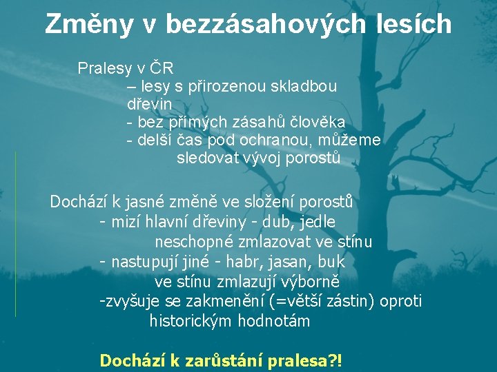 Změny v bezzásahových lesích Pralesy v ČR – lesy s přirozenou skladbou dřevin -