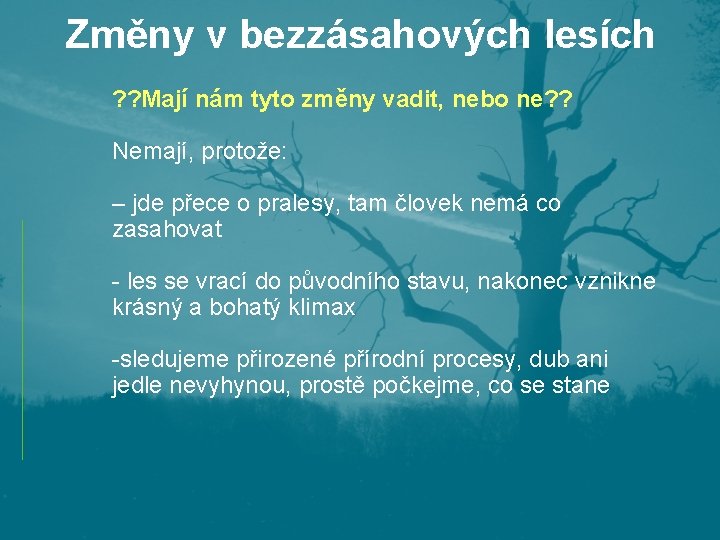 Změny v bezzásahových lesích ? ? Mají nám tyto změny vadit, nebo ne? ?