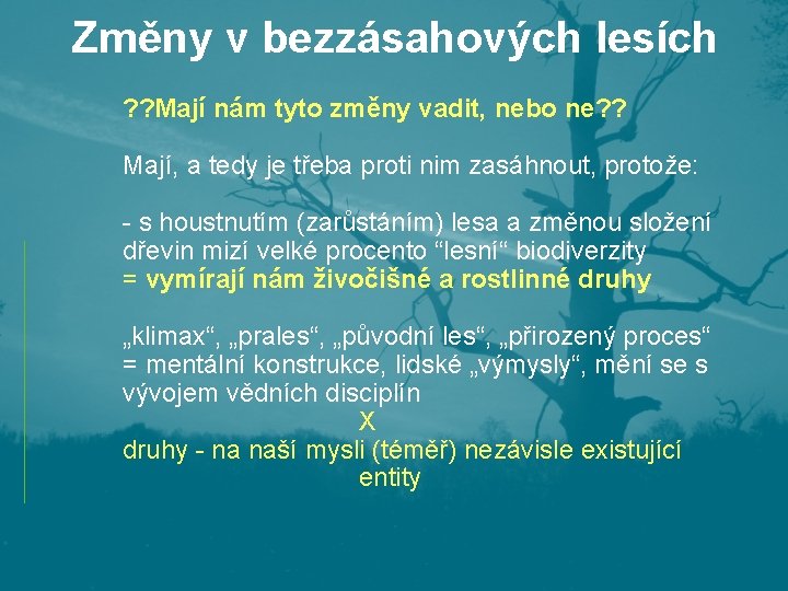 Změny v bezzásahových lesích ? ? Mají nám tyto změny vadit, nebo ne? ?