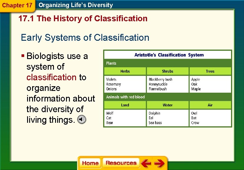 Chapter 17 Organizing Life’s Diversity 17. 1 The History of Classification Early Systems of