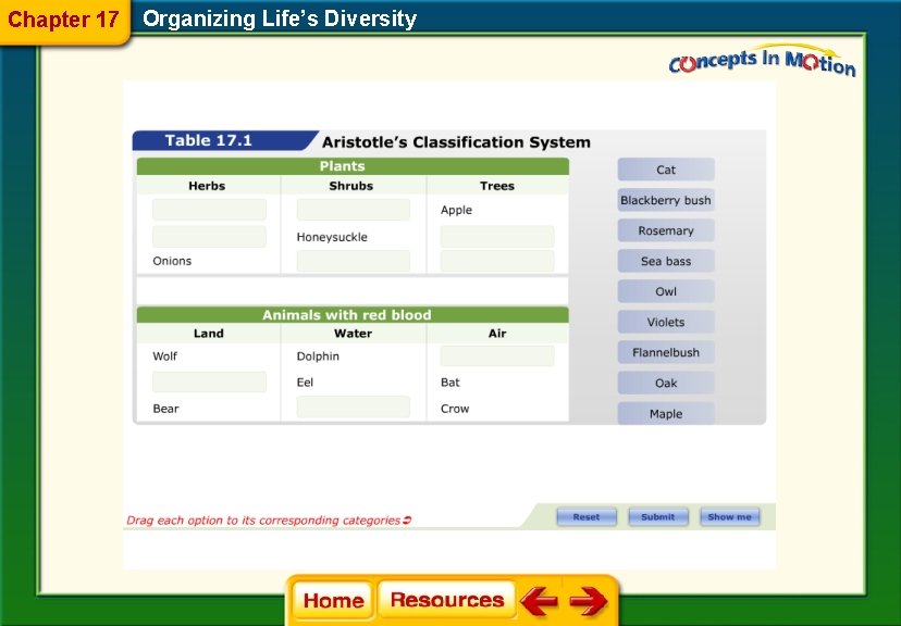 Chapter 17 Organizing Life’s Diversity 