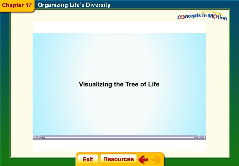 Chapter 17 Organizing Life’s Diversity 