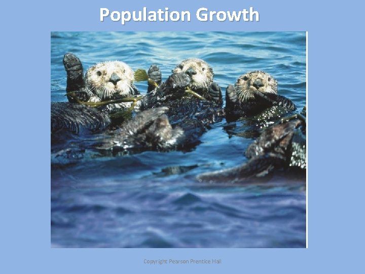 Population Growth Copyright Pearson Prentice Hall 
