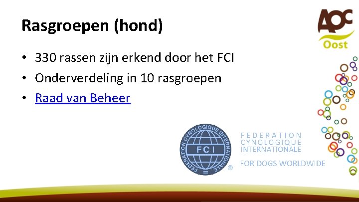 Rasgroepen (hond) • 330 rassen zijn erkend door het FCI • Onderverdeling in 10