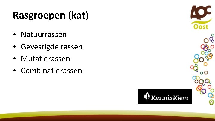 Rasgroepen (kat) • • Natuurrassen Gevestigde rassen Mutatierassen Combinatierassen 