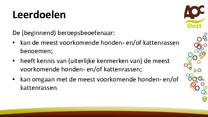 Leerdoelen De (beginnend) beroepsbeoefenaar: • kan de meest voorkomende honden- en/of kattenrassen benoemen; •