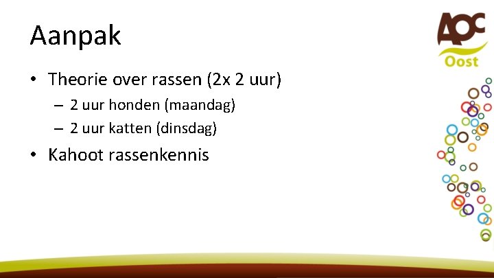 Aanpak • Theorie over rassen (2 x 2 uur) – 2 uur honden (maandag)