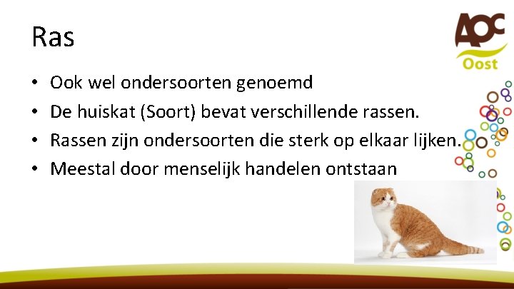 Ras • • Ook wel ondersoorten genoemd De huiskat (Soort) bevat verschillende rassen. Rassen