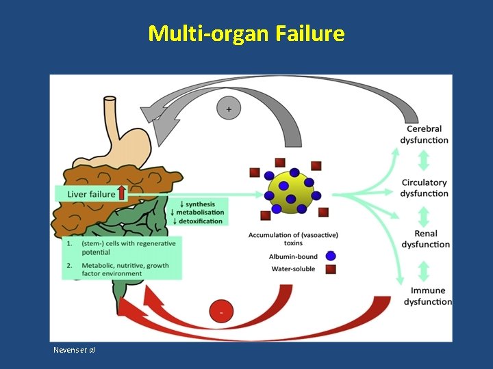 Multi-organ Failure Nevens et al 