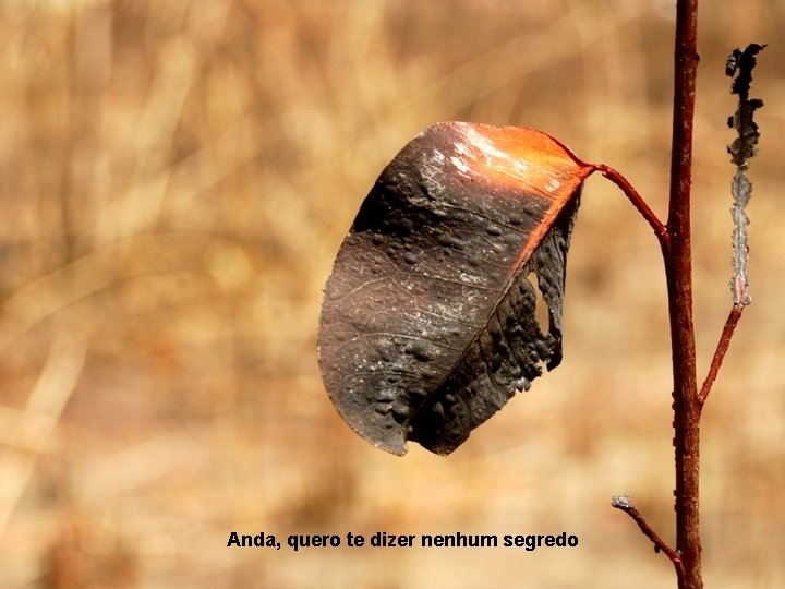 Anda, quero te dizer nenhum segredo 