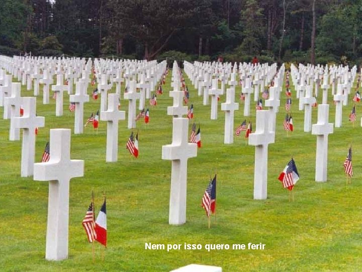 Nem por isso quero me ferir 