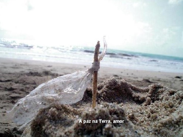 A paz na Terra, amor 