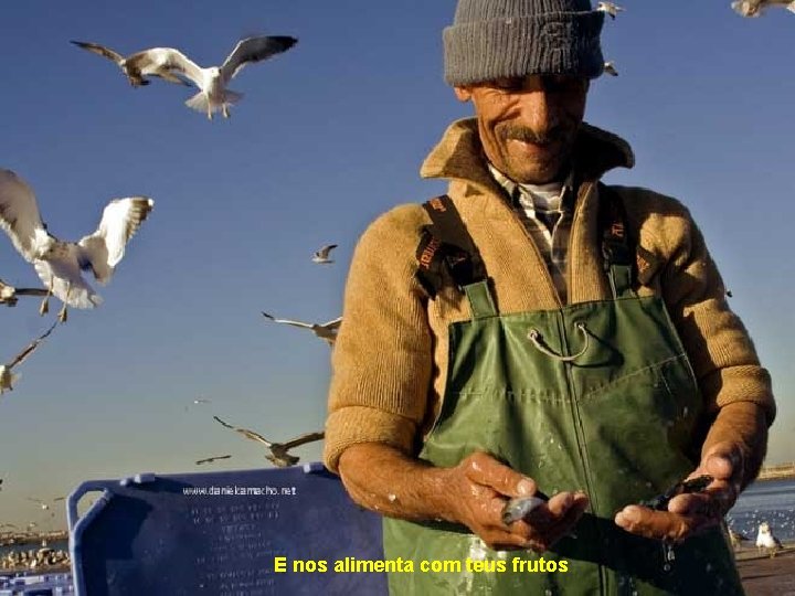 E nos alimenta com teus frutos 