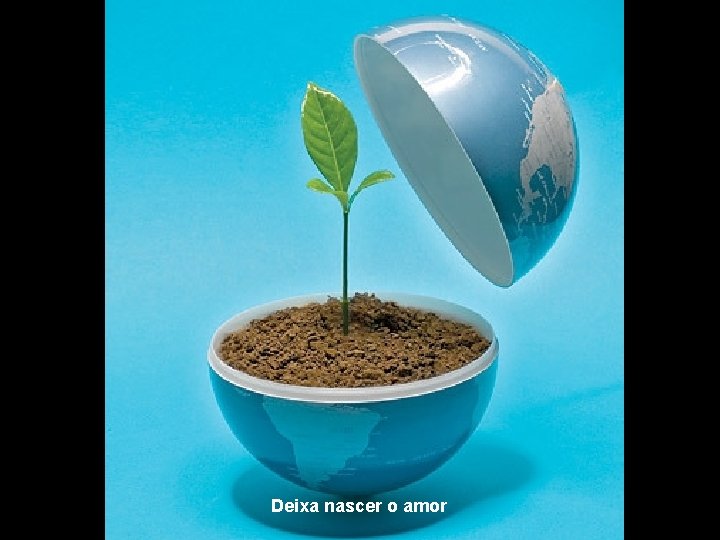 Deixa nascer o amor 
