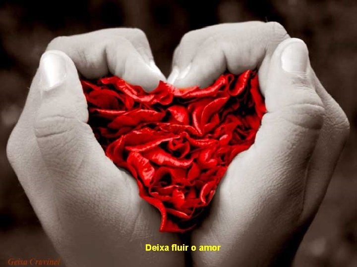 Deixa fluir o amor 