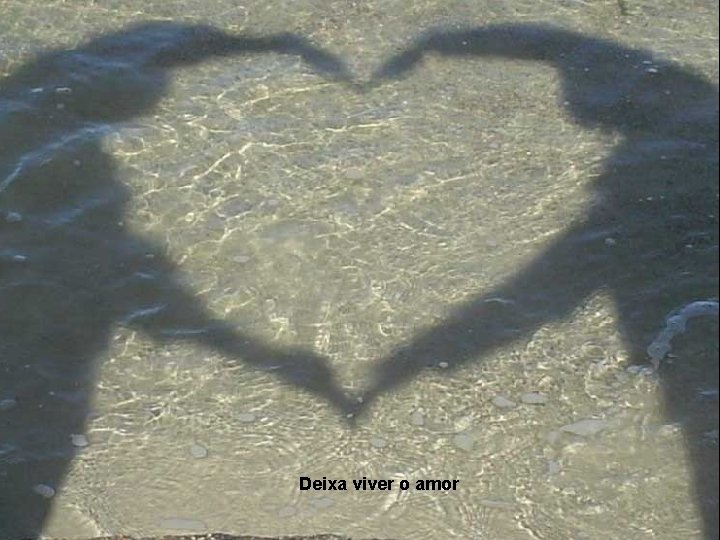 Deixa viver o amor 