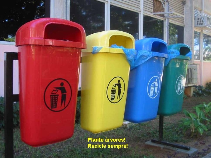 Plante árvores! Recicle sempre! 