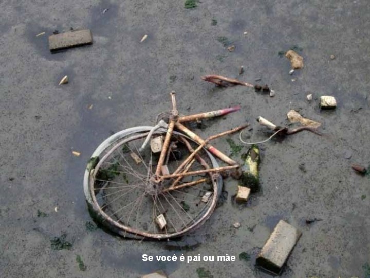 Se você é pai ou mãe 