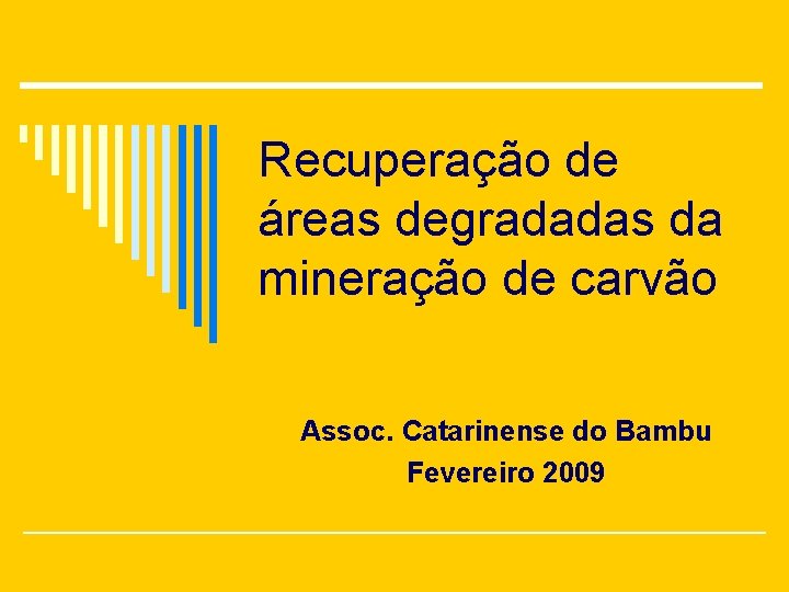 Recuperação de áreas degradadas da mineração de carvão Assoc. Catarinense do Bambu Fevereiro 2009