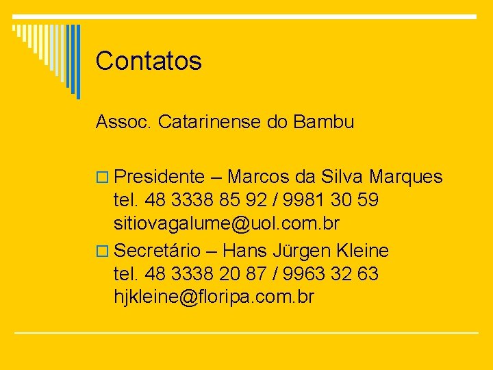 Contatos Assoc. Catarinense do Bambu o Presidente – Marcos da Silva Marques tel. 48