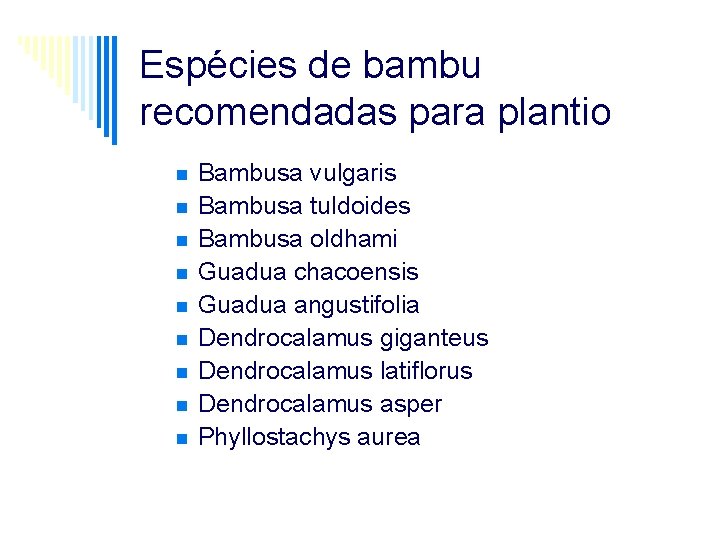 Espécies de bambu recomendadas para plantio n n n n n Bambusa vulgaris Bambusa