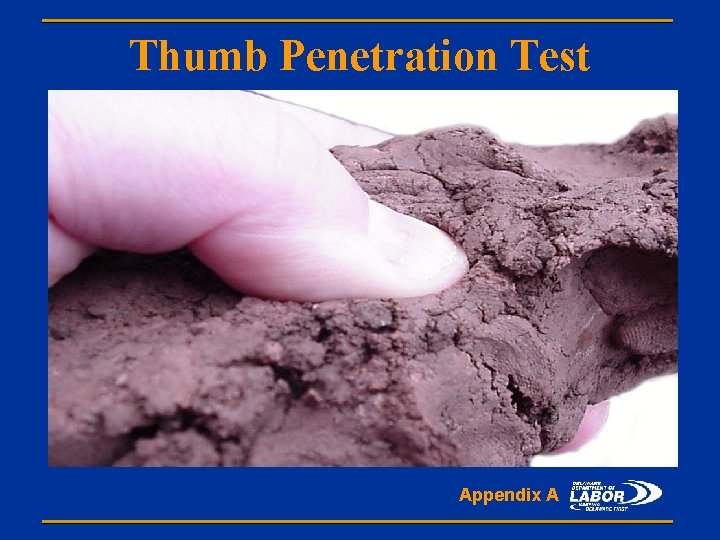 Thumb Penetration Test Appendix A 