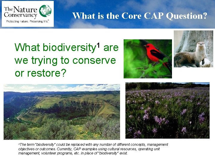 What is the Core CAP Question? What biodiversity 1 are we trying to conserve
