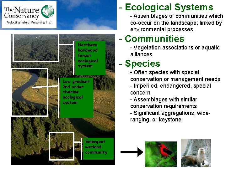 - Ecological Systems - Assemblages of communities which co-occur on the landscape; linked by