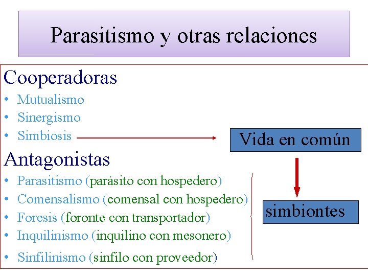 Parasitismo y otras relaciones Cooperadoras • Mutualismo • Sinergismo • Simbiosis Antagonistas • •