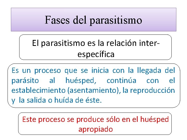 Fases del parasitismo El parasitismo es la relación interespecífica Es un proceso que se