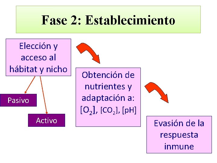 Fase 2: Establecimiento Elección y acceso al hábitat y nicho Pasivo Activo Obtención de