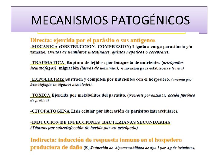 MECANISMOS PATOGÉNICOS 