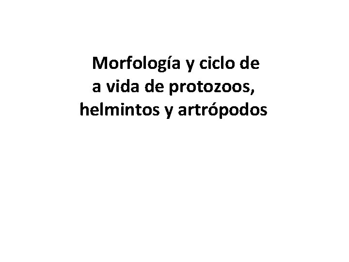 Morfología y ciclo de a vida de protozoos, helmintos y artrópodos 