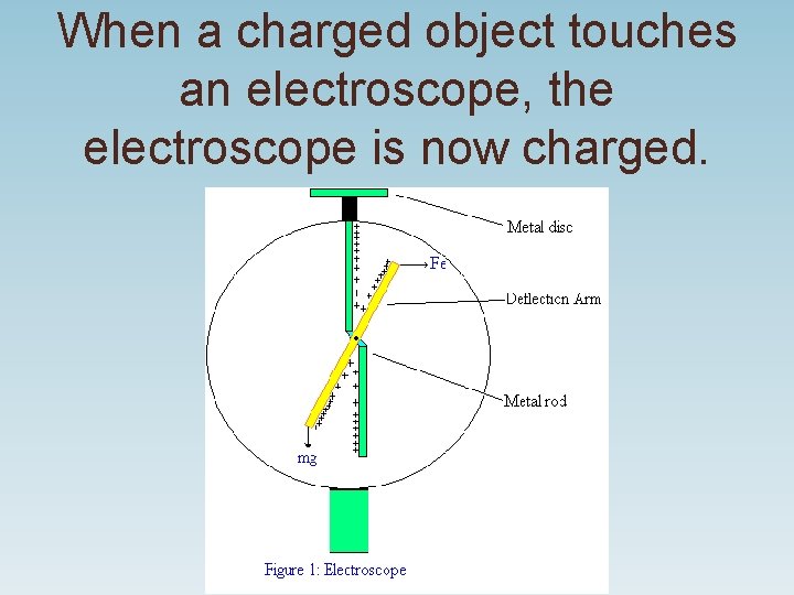 When a charged object touches an electroscope, the electroscope is now charged. 