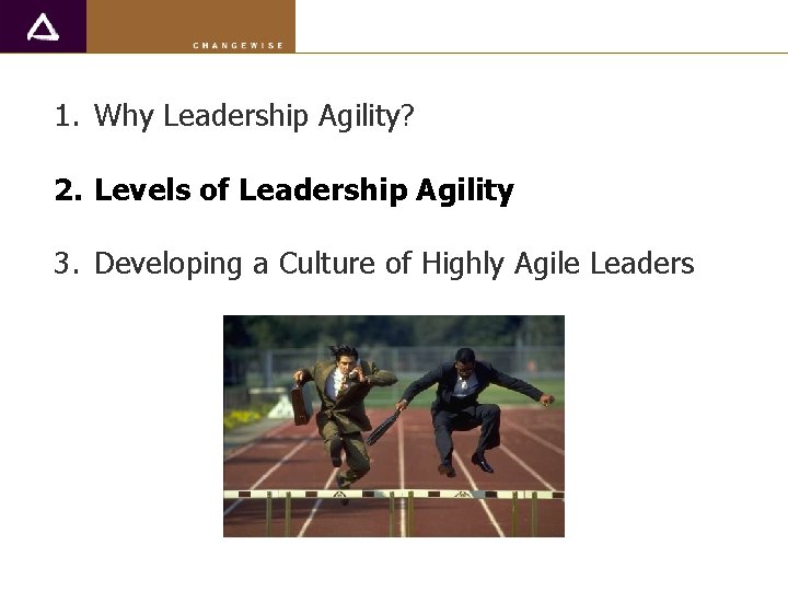 1. Why Leadership Agility? 2. Levels of Leadership Agility 3. Developing a Culture of