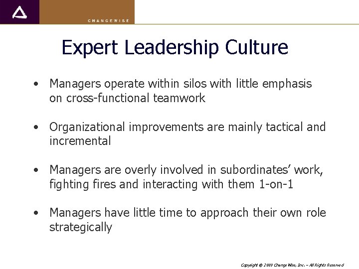 Expert Leadership Culture • Managers operate within silos with little emphasis on cross-functional teamwork