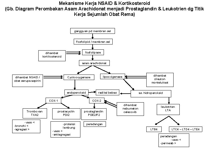 Mekanisme Kerja NSAID & Kortikosteroid (Gb. Diagram Perombakan Asam Arachidonat menjadi Prostaglandin & Leukotrien