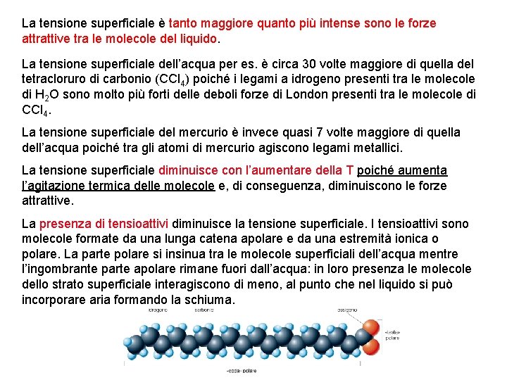 La tensione superficiale è tanto maggiore quanto più intense sono le forze attrattive tra