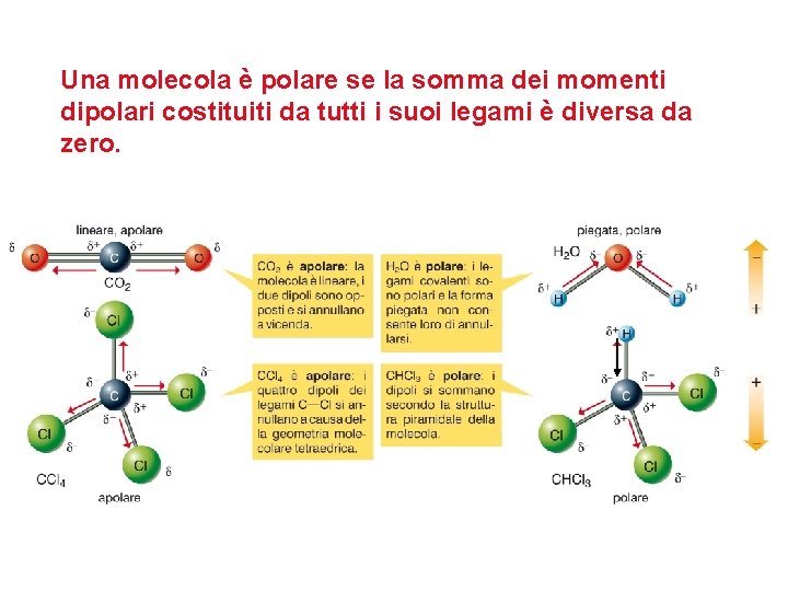 Una molecola è polare se la somma dei momenti dipolari costituiti da tutti i