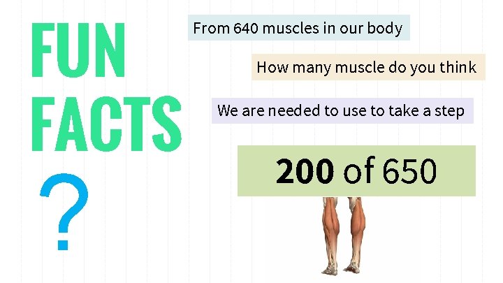 FUN FACTS ? From 640 muscles in our body How many muscle do you