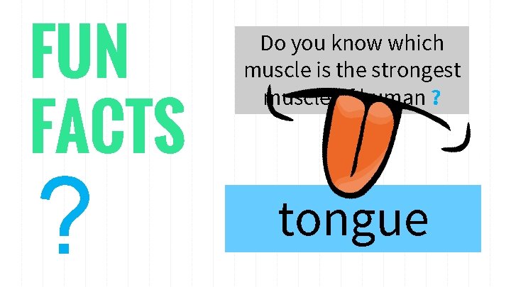 FUN FACTS ? Do you know which muscle is the strongest muscle of human